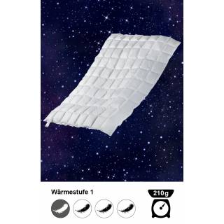 Eiderdaunen- Einziehdecke mit Biese, 200 x 200 cm, 210 g