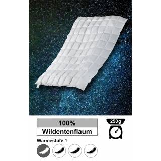 Einziehdecke mit Wildentenfüllung, 135 x 200 cm, 250 g