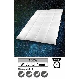 Einziehdecke mit Wildentenfüllung, 135 x 200 cm, 880 g
